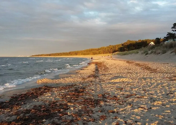 Blaumuschel Haus A 12 - Dh Lubmin