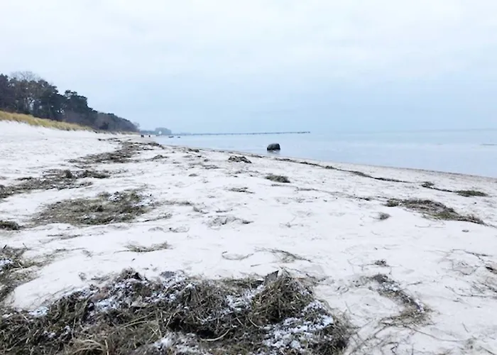 Ferienpark Blaumuschel Haus A 12 - Dh Lubmin